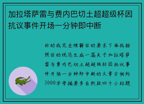 加拉塔萨雷与费内巴切土超超级杯因抗议事件开场一分钟即中断